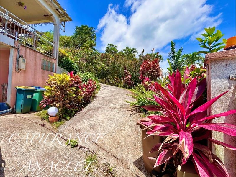 Villa - 244 m² - 7 pièces