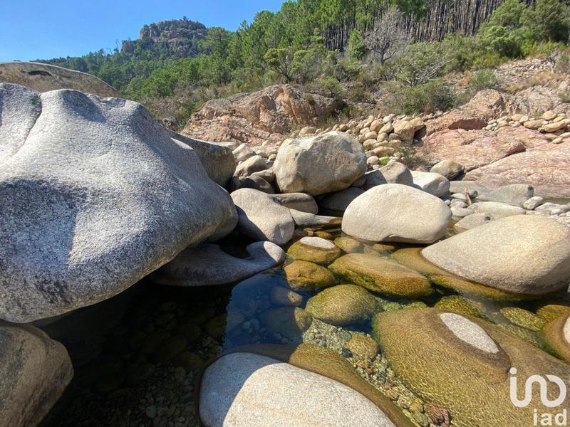 Maison - 490 m² - 7 pièces