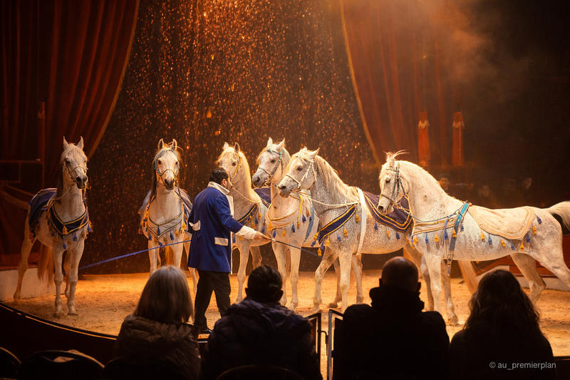 Grand cirque Nicolas Zavatta Douchet