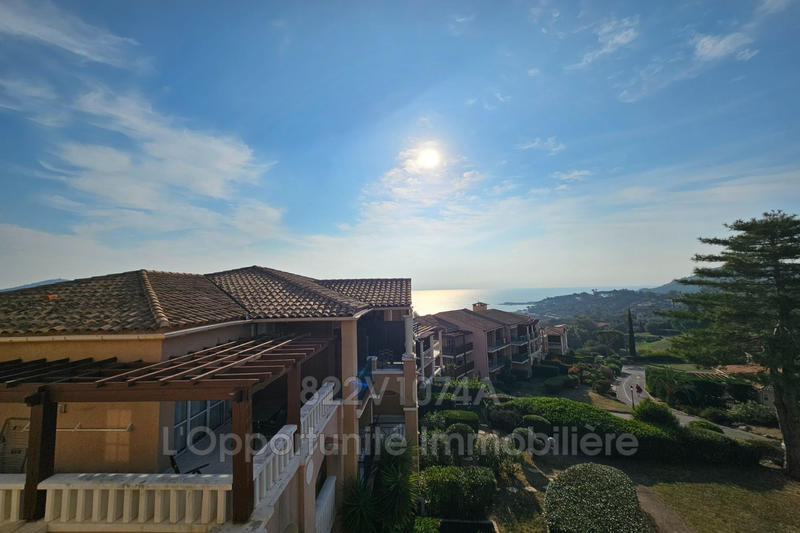 Appartement - 28 m² - 2 pièces