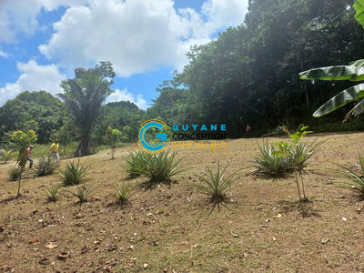 Terrain agricole - 9 844 m²