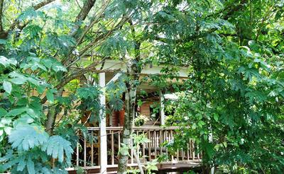 Au jardin des colibris