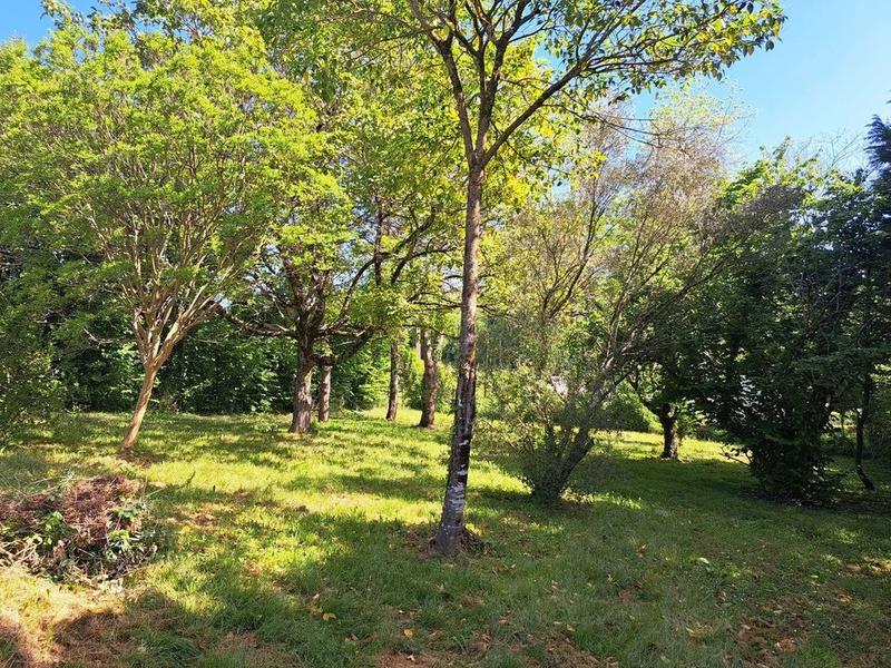 Maison en pierre - 161 m² - 6 pièces