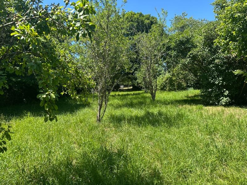 Maison en pierre - 137 m² - 7 pièces