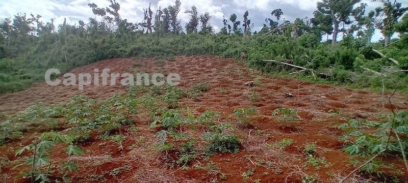 Terrain agricole - 167 518 m²