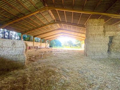 Local d'activité / Entrepôt - 880 m² - 1 pièce