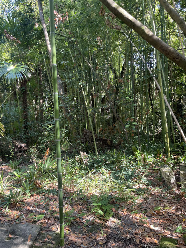 Maison - 300 m² - 10 pièces