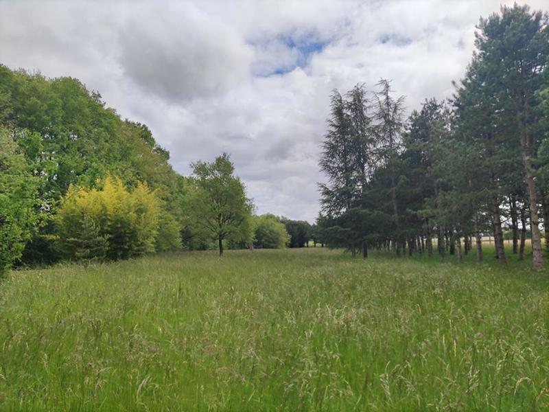 Terrain de loisirs - 100 000 m²