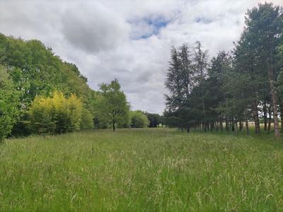 Terrain de loisirs - 100 000 m²