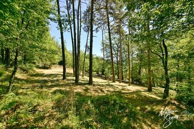 Terrain constructible - 810 m²
