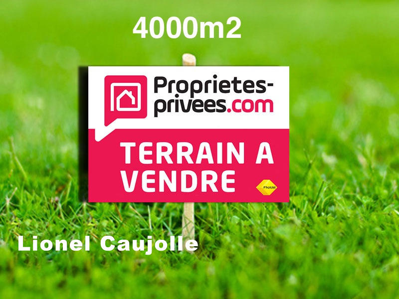 Terrain - 4 006 m²