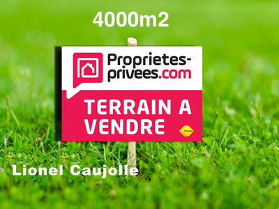 Terrain - 4 006 m²