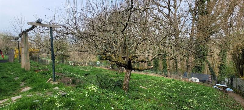 Appartement - 238 m² - 10 pièces