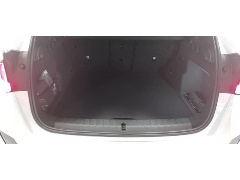 Bmw X1 iX1 xDrive30 313ch Bva m Sport