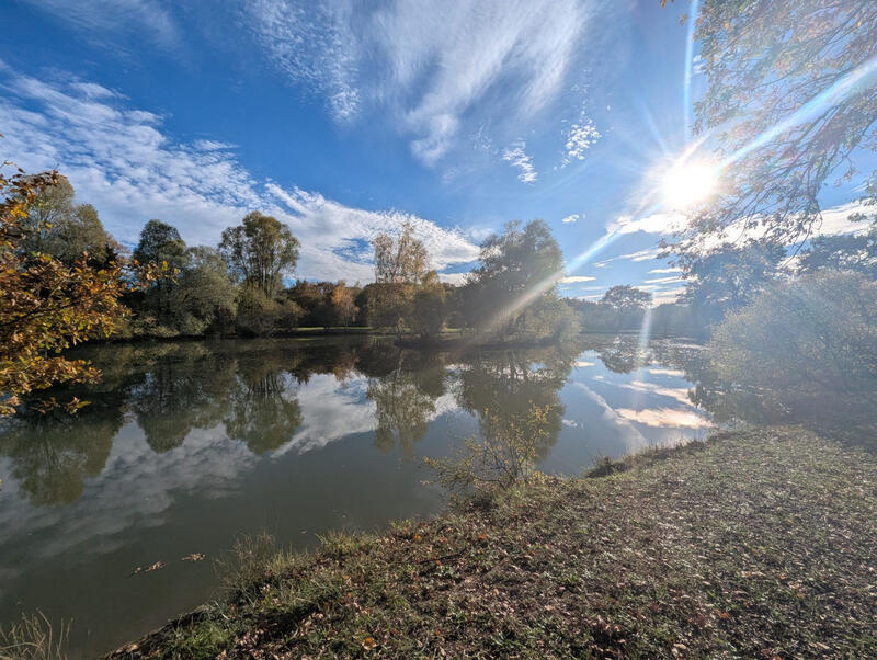 Terrain - 20 387 m²