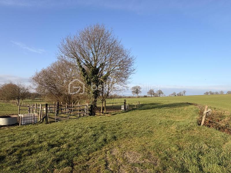 Maison de domaine équestre - 155 m² - 7 pièces