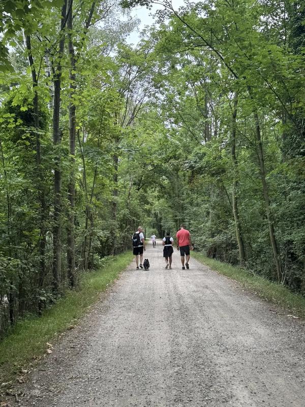 Randonnée pédestre