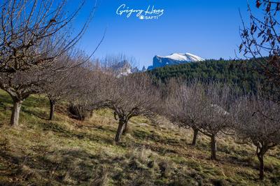 Maison - 137 m² - 6 pièces