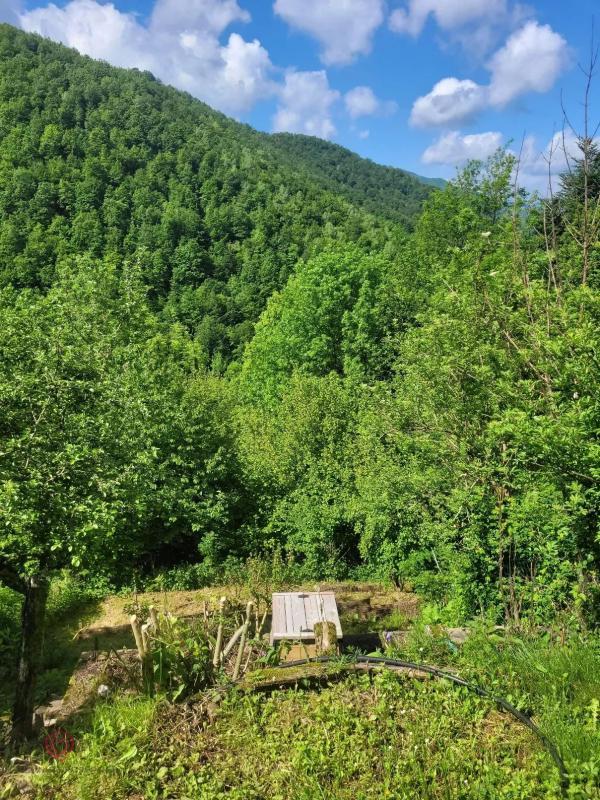 Maison en pierre - 78 m² - 3 pièces