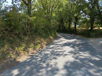 Terrain constructible - 1 264 m²