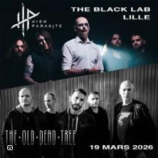 High Parasite + The Old Dead Tree