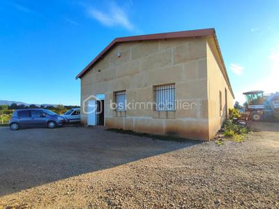 Terrain - 87 173 m²