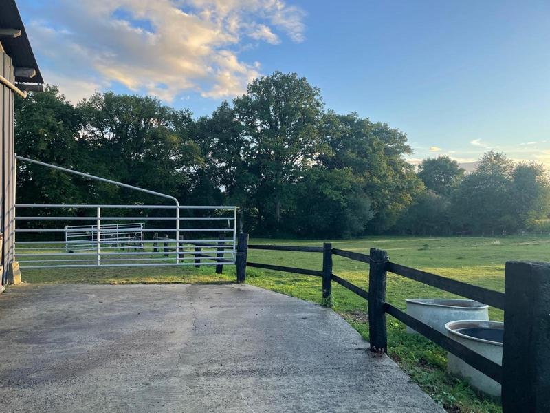 Maison - 174 m² - 7 pièces