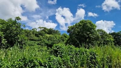 Terrain constructible - 897 m²