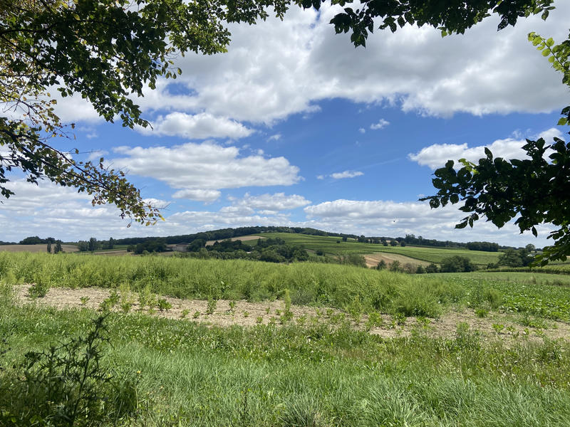 Maison - 180 m² - 5 pièces