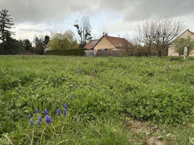 Terrain constructible - 1 423 m²
