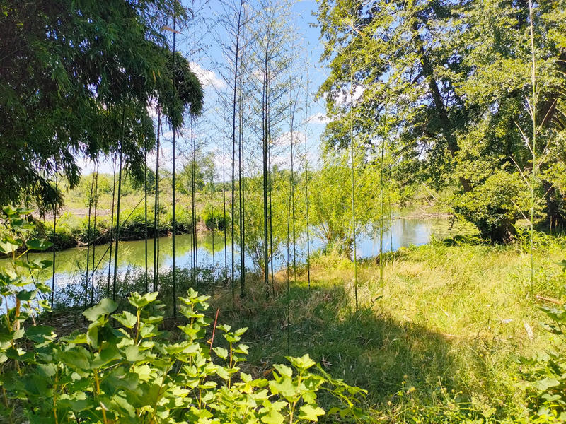 Maison - 233 m² - 9 pièces