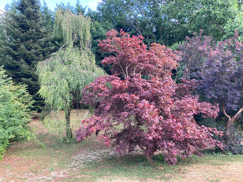 Maison - 253 m² - 8 pièces