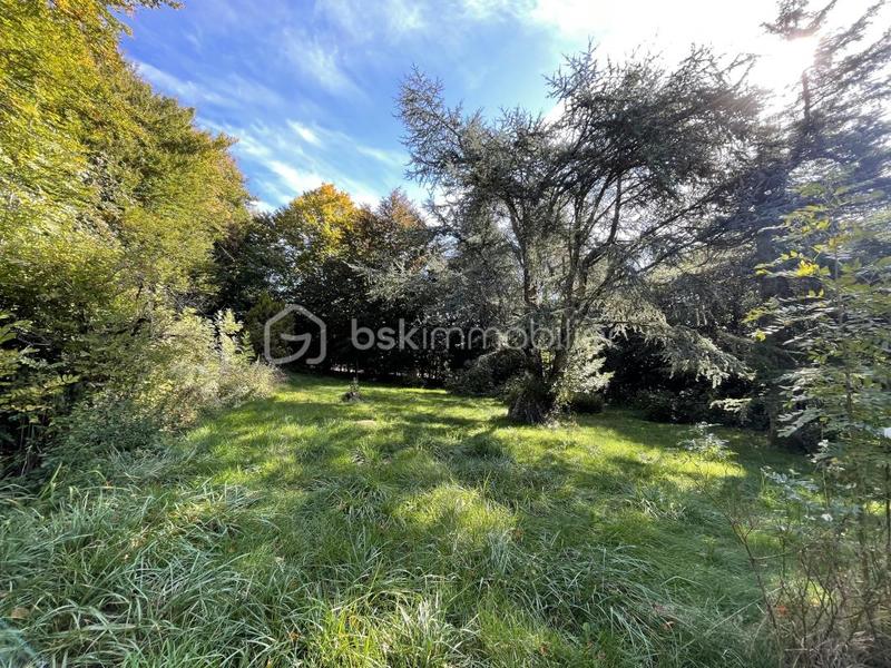 Maison en pierre - 366 m² - 6 pièces