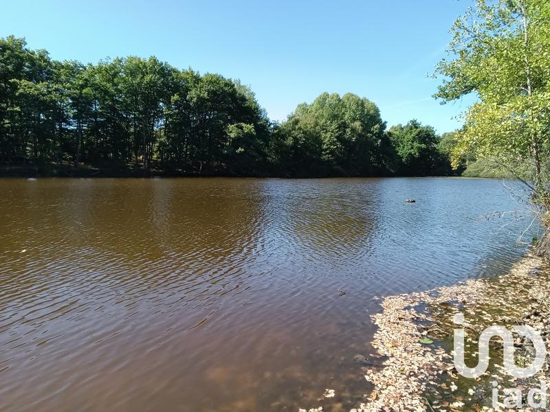 Terrain - 37 398 m²