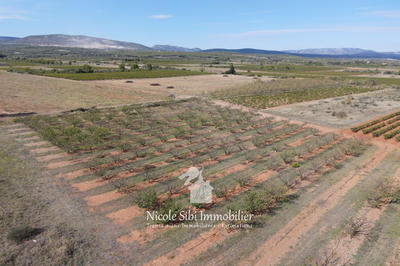 Terrain agricole - 21 895 m²