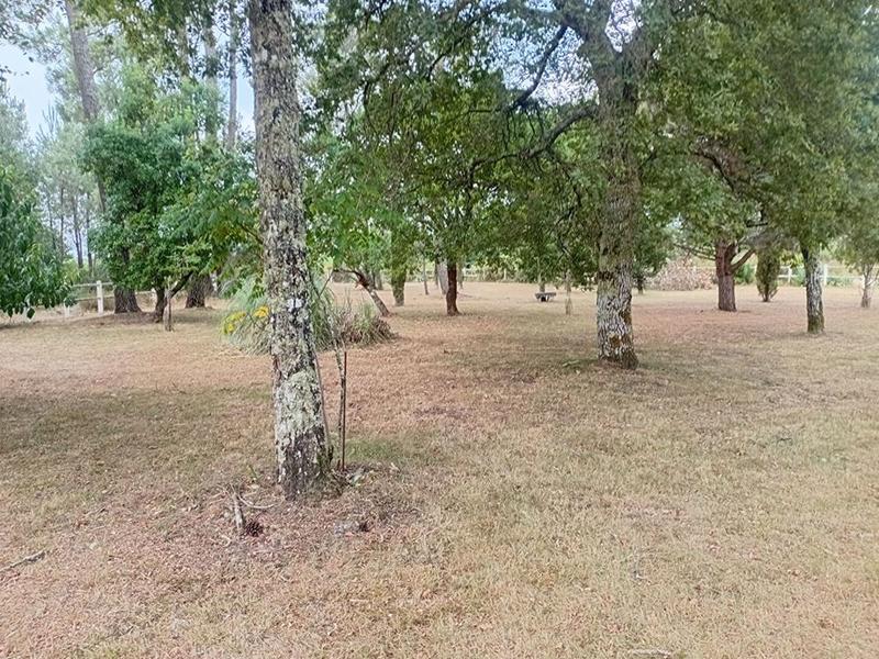 Maison - 134 m² - 9 pièces