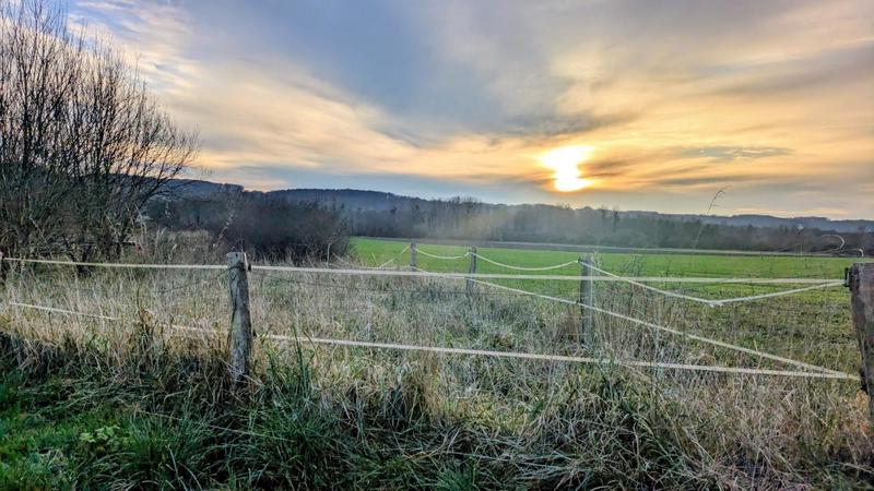 Terrain constructible - 8 700 m²