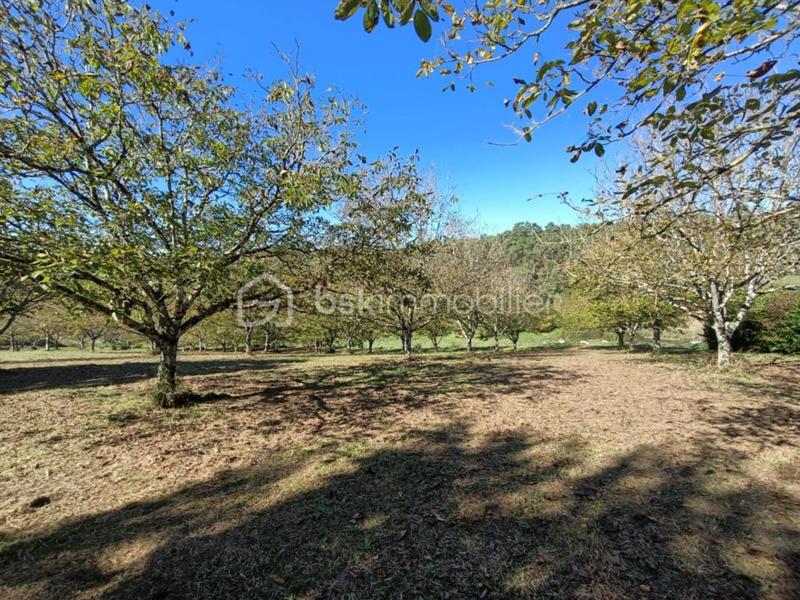 Maison en pierre - 132 m² - 6 pièces