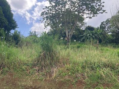 Terrain constructible - 1 424 m²