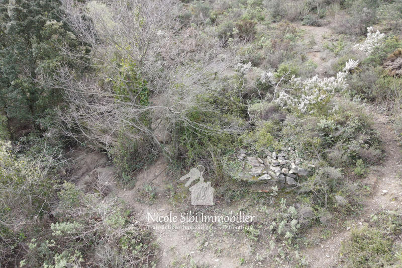 Terrain - 54 574 m²