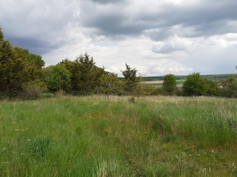 Maison - 153 m² - 5 pièces