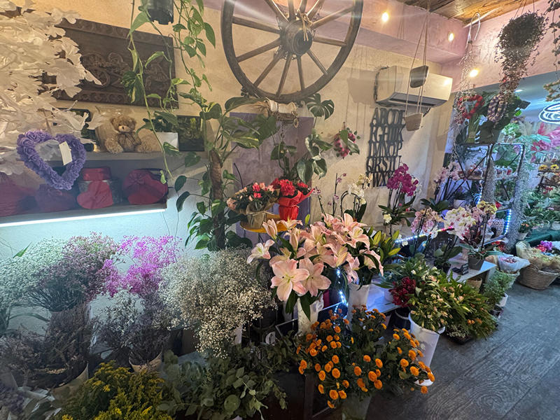 Local commercial - 53 m² - 2 pièces