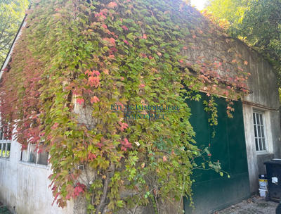 Maison ancienne - 200 m² - 7 pièces