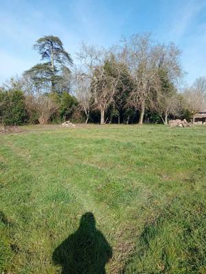 Maison - 241 m² - 7 pièces