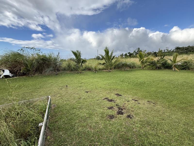 Propriété - 245 m² - 9 pièces