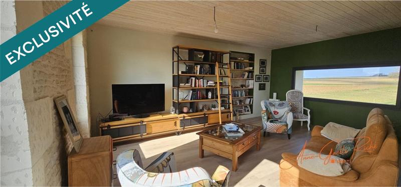 Maison de maîtres - 347 m² - 10 pièces