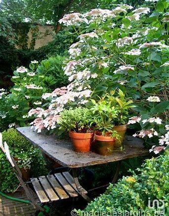 Appartement - 75 m² - 4 pièces