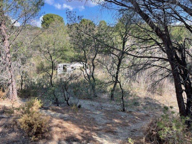 Terrain agricole - 6 375 m²