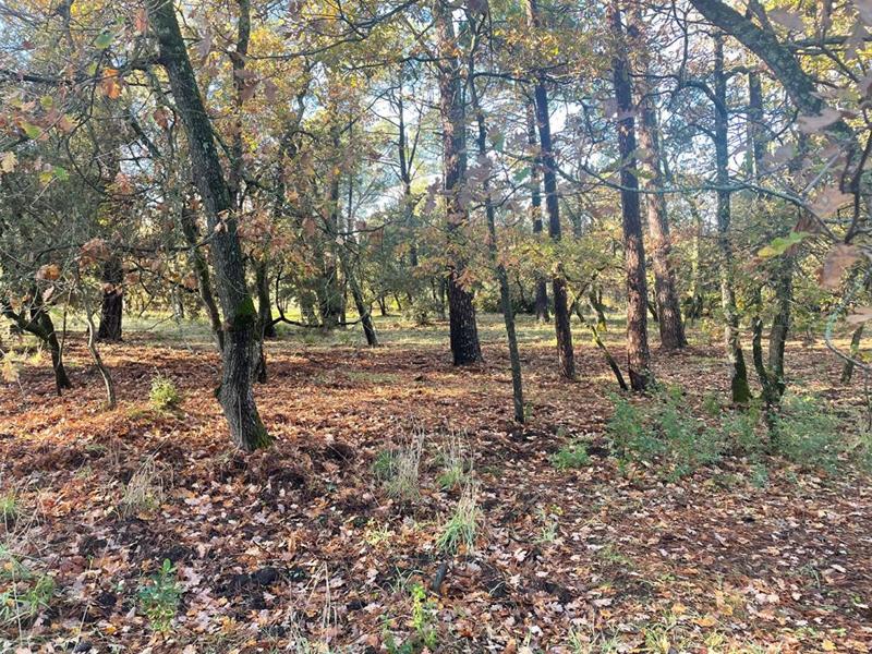 Maison - 85 m² - 3 pièces