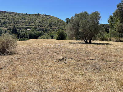 Terrain - 1 026 m²